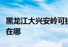 黑龙江大兴安岭可提供科龙空调维修服务地址在哪