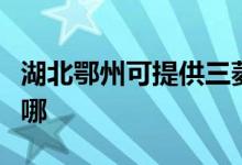 湖北鄂州可提供三菱电机空调维修服务地址在哪