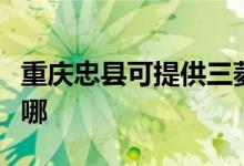 重庆忠县可提供三菱电机空调维修服务地址在哪