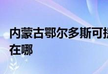 内蒙古鄂尔多斯可提供科龙空调维修服务地址在哪