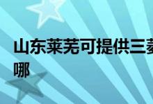 山东莱芜可提供三菱电机空调维修服务地址在哪