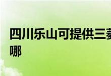 四川乐山可提供三菱重工空调维修服务地址在哪