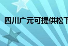 四川广元可提供松下空调维修服务地址在哪