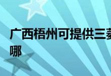 广西梧州可提供三菱重工空调维修服务地址在哪