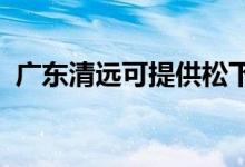 广东清远可提供松下空调维修服务地址在哪