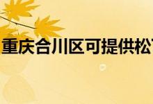 重庆合川区可提供松下空调维修服务地址在哪