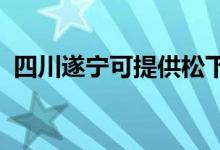 四川遂宁可提供松下空调维修服务地址在哪