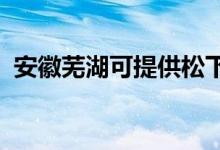 安徽芜湖可提供松下空调维修服务地址在哪