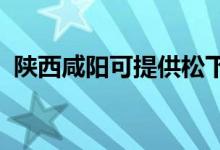 陕西咸阳可提供松下空调维修服务地址在哪