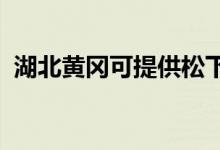 湖北黄冈可提供松下空调维修服务地址在哪