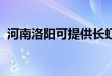 河南洛阳可提供长虹空调维修服务地址在哪