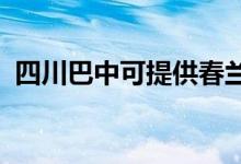 四川巴中可提供春兰空调维修服务地址在哪