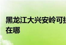 黑龙江大兴安岭可提供统帅空调维修服务地址在哪