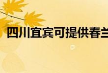 四川宜宾可提供春兰空调维修服务地址在哪