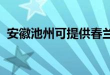 安徽池州可提供春兰空调维修服务地址在哪