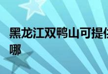 黑龙江双鸭山可提供统帅空调维修服务地址在哪