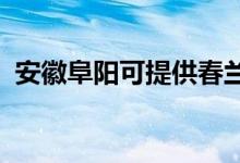 安徽阜阳可提供春兰空调维修服务地址在哪