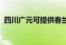 四川广元可提供春兰空调维修服务地址在哪