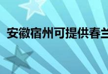 安徽宿州可提供春兰空调维修服务地址在哪