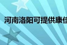 河南洛阳可提供康佳空调维修服务地址在哪