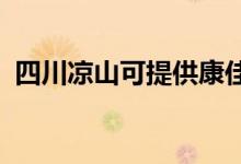 四川凉山可提供康佳空调维修服务地址在哪