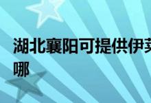 湖北襄阳可提供伊莱克斯空调维修服务地址在哪