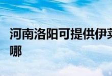 河南洛阳可提供伊莱克斯空调维修服务地址在哪