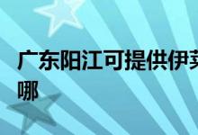 广东阳江可提供伊莱克斯空调维修服务地址在哪