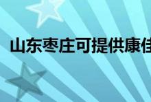 山东枣庄可提供康佳空调维修服务地址在哪