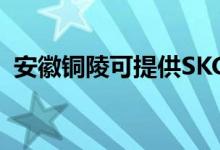 安徽铜陵可提供SKG空调维修服务地址在哪