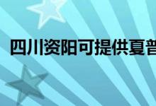 四川资阳可提供夏普空调维修服务地址在哪