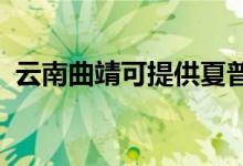 云南曲靖可提供夏普空调维修服务地址在哪