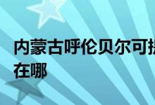 内蒙古呼伦贝尔可提供夏普空调维修服务地址在哪