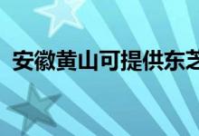 安徽黄山可提供东芝空调维修服务地址在哪