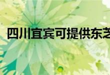 四川宜宾可提供东芝空调维修服务地址在哪