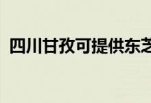 四川甘孜可提供东芝空调维修服务地址在哪