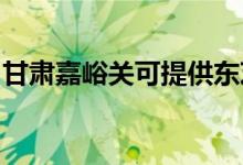 甘肃嘉峪关可提供东芝空调维修服务地址在哪