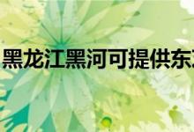 黑龙江黑河可提供东芝空调维修服务地址在哪