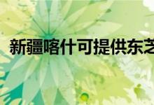 新疆喀什可提供东芝空调维修服务地址在哪