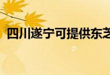 四川遂宁可提供东芝空调维修服务地址在哪