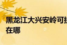 黑龙江大兴安岭可提供芬尼空调维修服务地址在哪