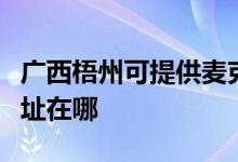 广西梧州可提供麦克维尔中央空调维修服务地址在哪