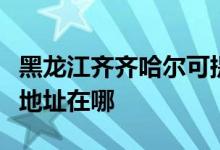 黑龙江齐齐哈尔可提供约克中央空调维修服务地址在哪