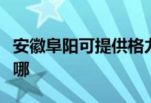 安徽阜阳可提供格力中央空调维修服务地址在哪