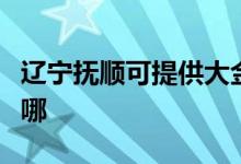 辽宁抚顺可提供大金中央空调维修服务地址在哪