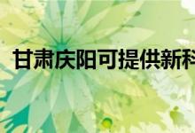 甘肃庆阳可提供新科空调维修服务地址在哪