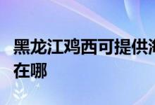 黑龙江鸡西可提供海尔中央空调维修服务地址在哪