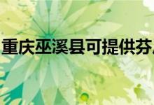 重庆巫溪县可提供芬尼空调维修服务地址在哪