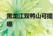 黑龙江双鸭山可提供LG冰箱维修服务地址在哪