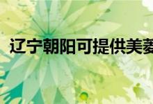 辽宁朝阳可提供美菱冰箱维修服务地址在哪